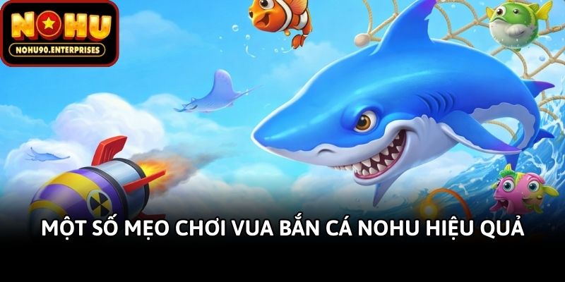 Một số mẹo chơi Vua bắn cá Nohu hiệu quả
